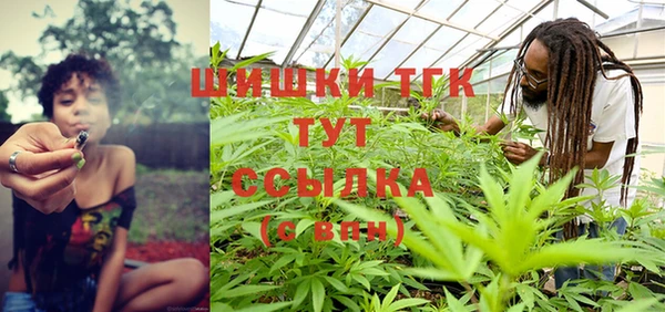 стаф Абинск
